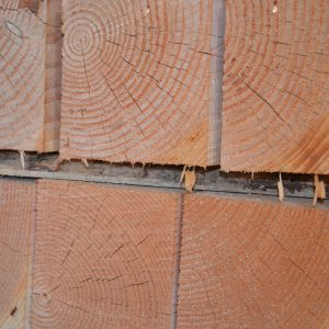 Houthandel Bos - Douglas blank