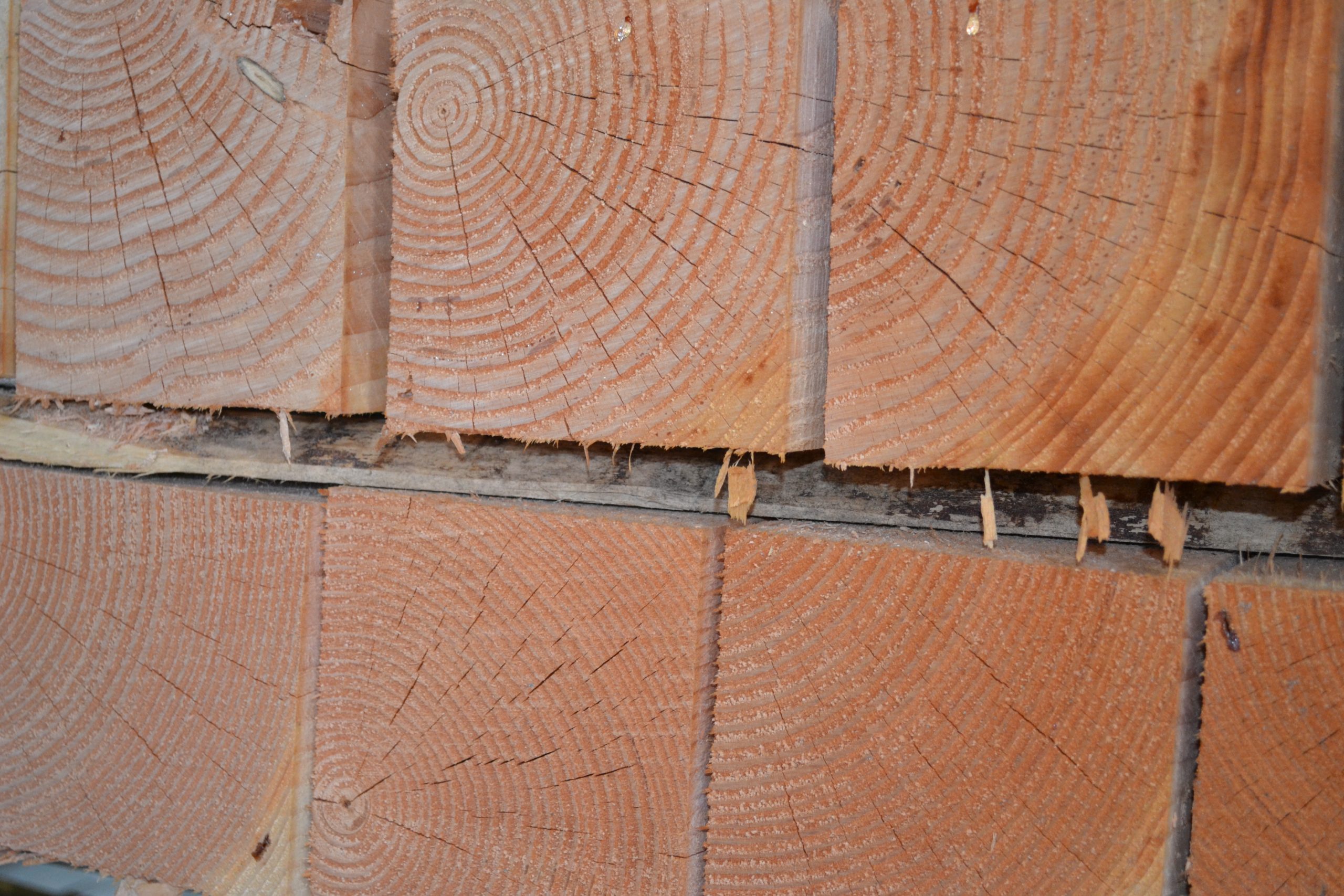 Houthandel Bos - Douglas blank Houthandel Bos - Douglas blank